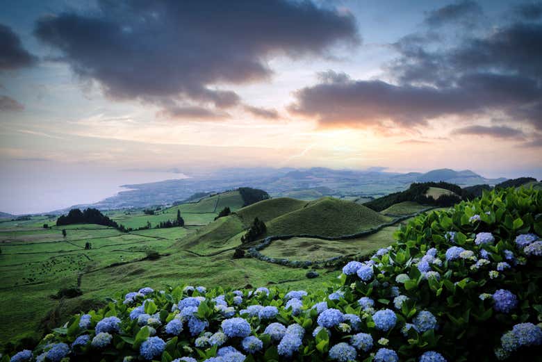 Exploring the island of Flores