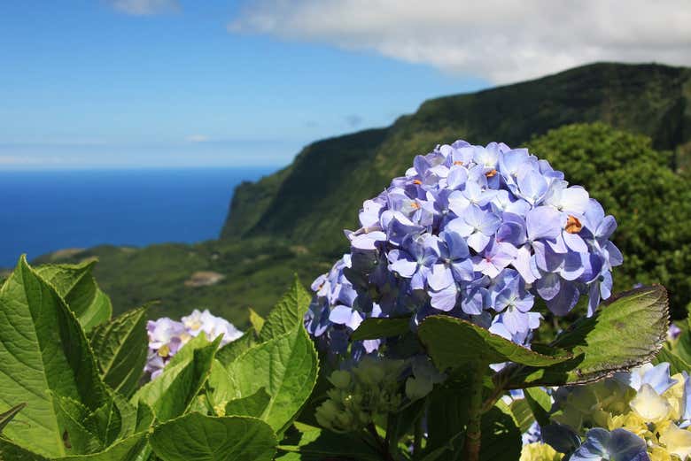 Desfrutando da ilha das Flores 