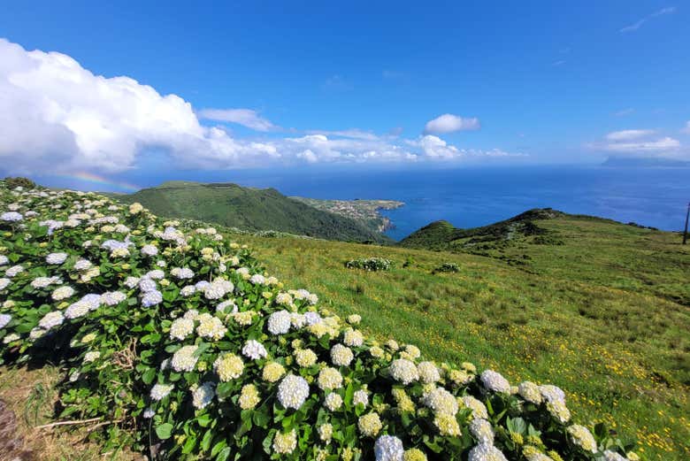 Découvrez toute l'île de Flores à bord d'un véhicule