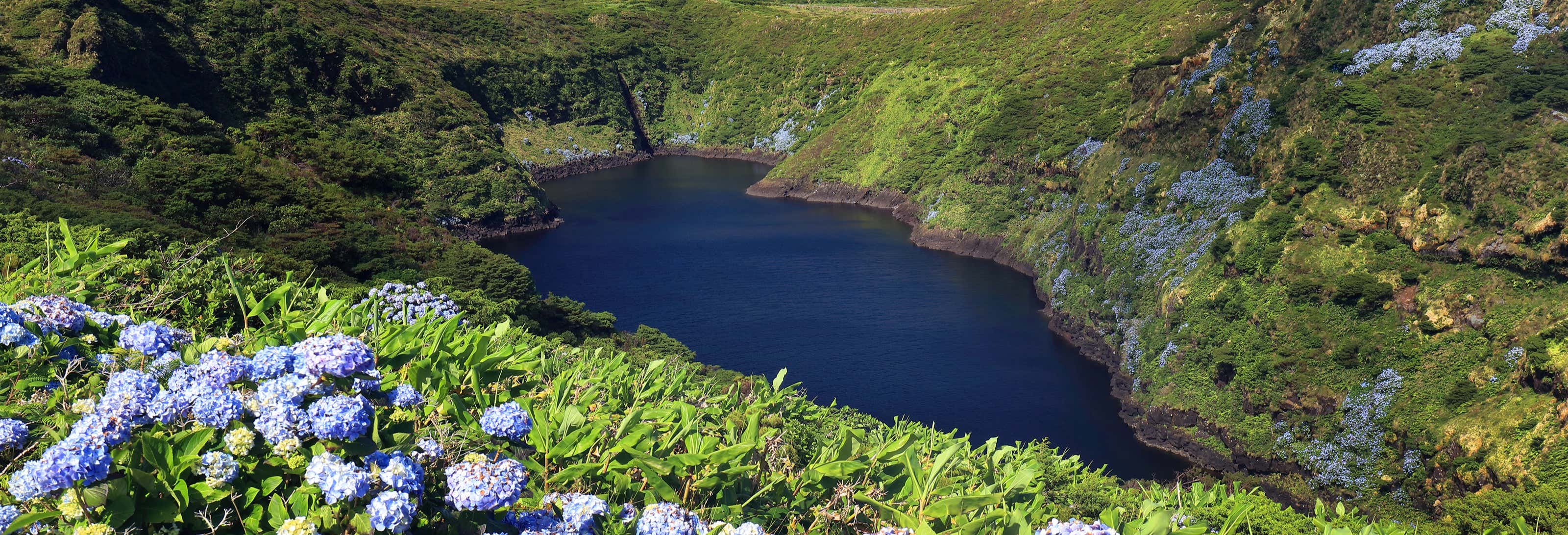 Excursiones de un día en Santa Cruz das Flores
