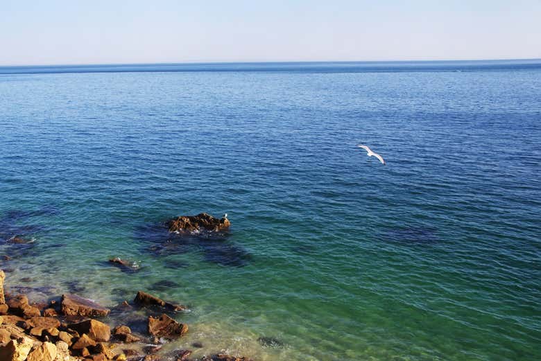 Crystalline waters in the natural park