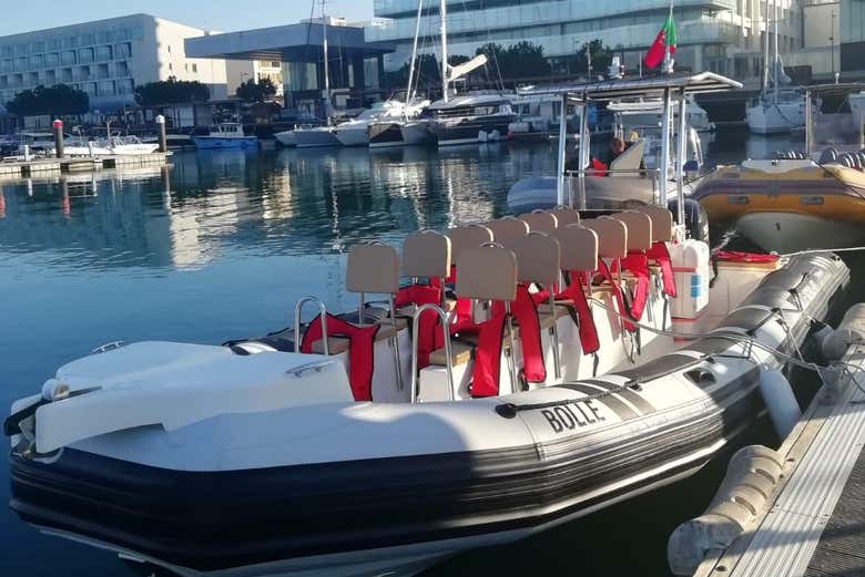 Boat for the cruise