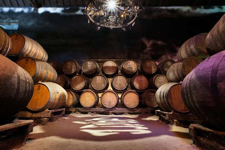Jose María Fonseca Winery