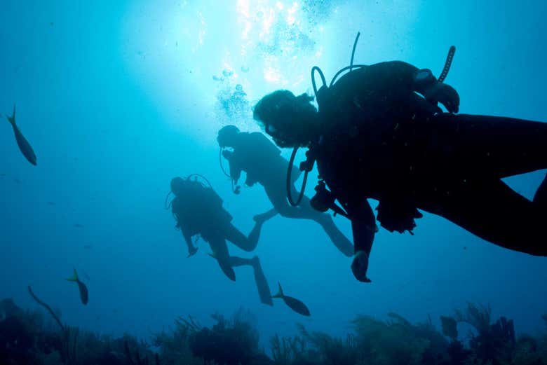 Enjoying the beginners dive