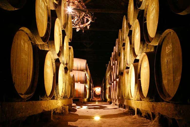Exploring the winery