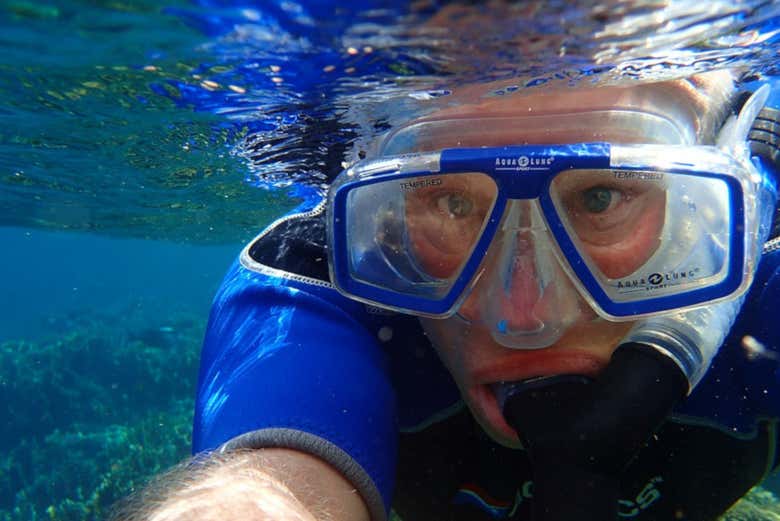 Snorkelling in Arrabida