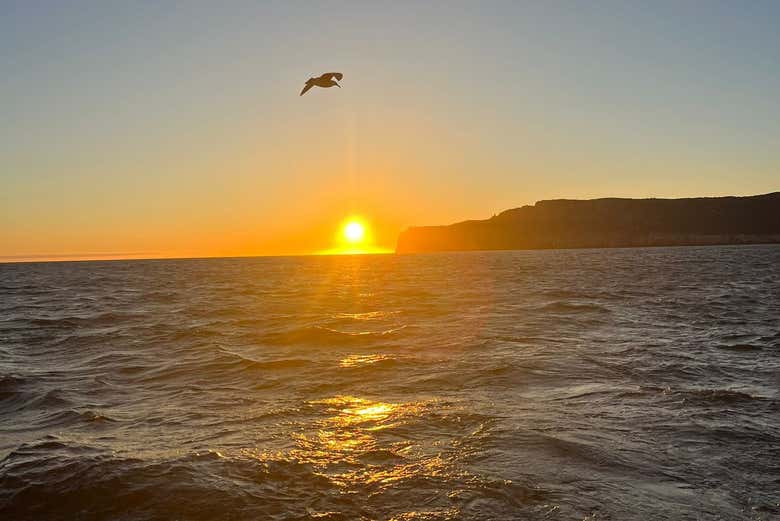 Get ready to fall in love with this sunset!