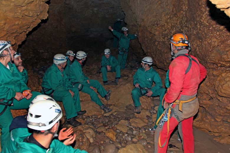 Discover the underground world