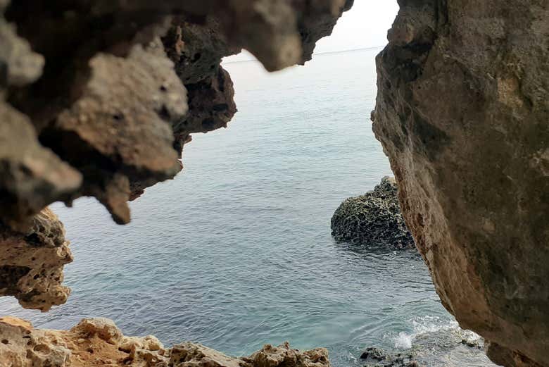 Catch glimpses above ground as you continue your route