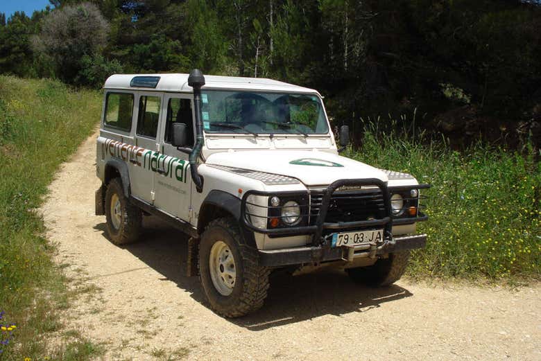 Jeep tour of Cabo Espichel