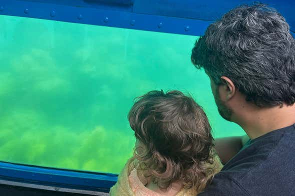 Excursion en bateau à fond de verre