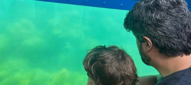 Passeio de barco com fundo de vidro