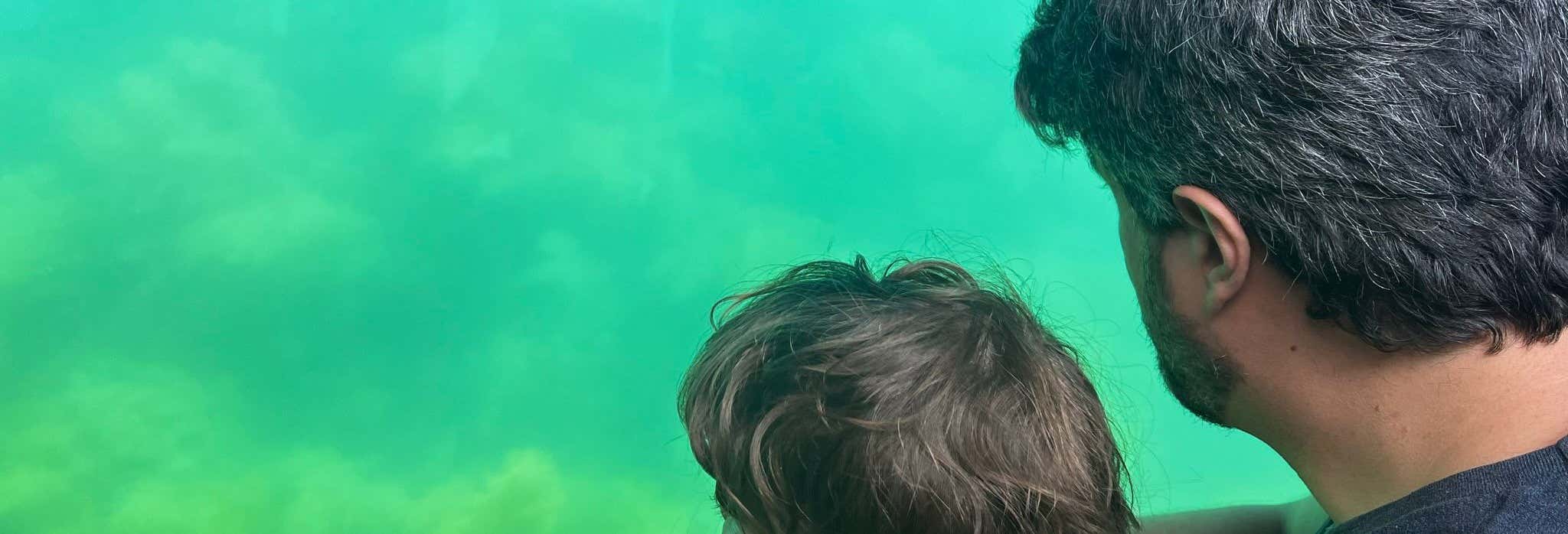 Paseos en barco en Sesimbra