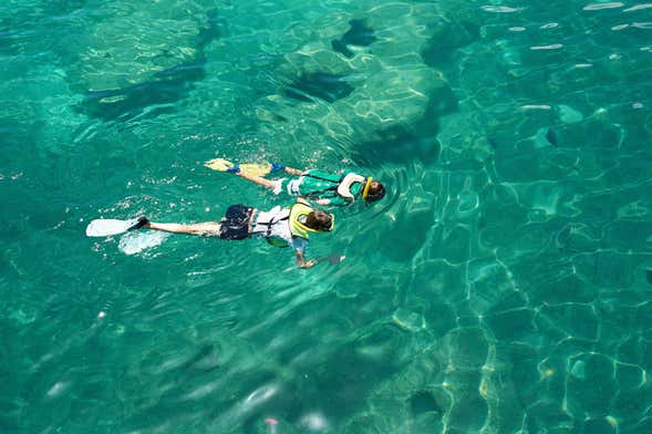 Snorkeling dans le Parc Naturel de l'Arrábida