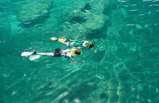 Snorkel en el Parque Natural de Arrábida
