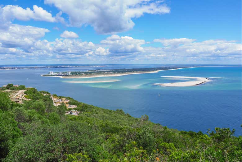 Estuario del Sado