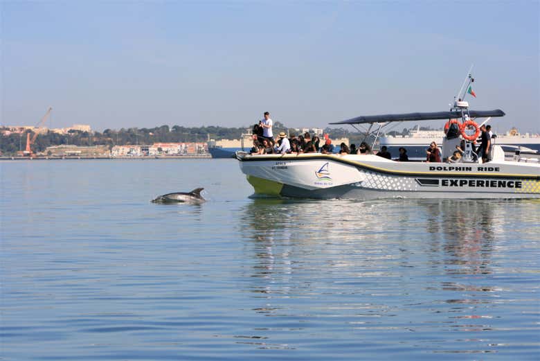 Navigando lungo il litorale di Setúbal