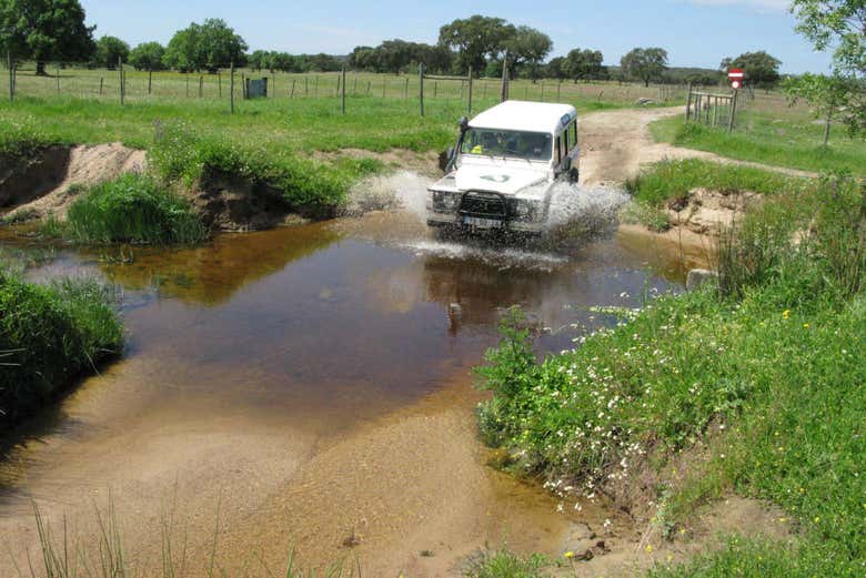 Veículo 4x4 pelo Cabo Espichel