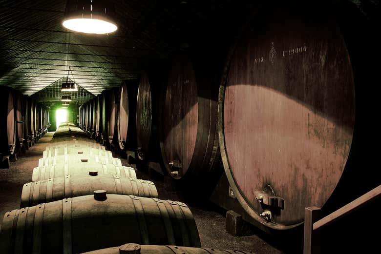 Interior de la bodega