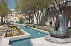 Setúbal Guided Tour