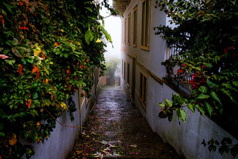 Calle del casco antiguo de Sintra