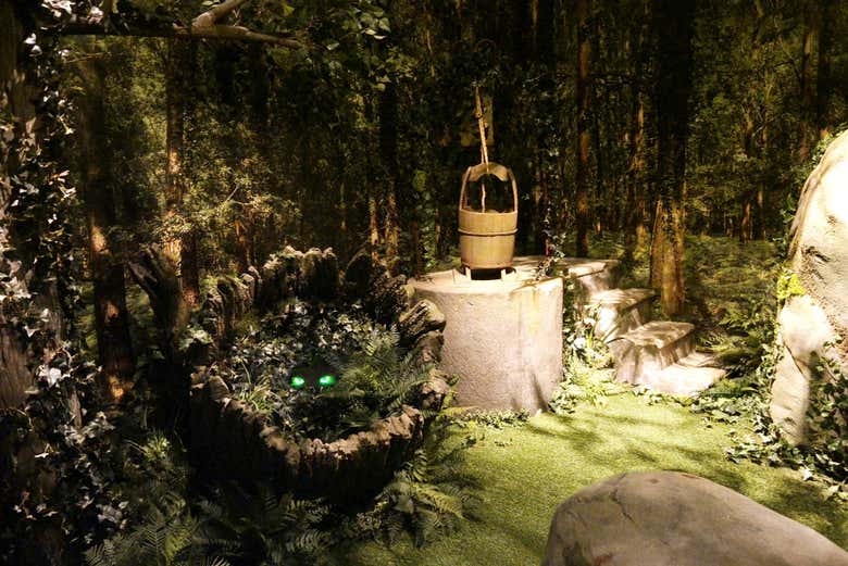 Mystères des bois de Sintra
