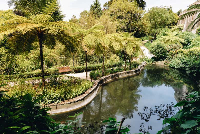 Étang du jardin