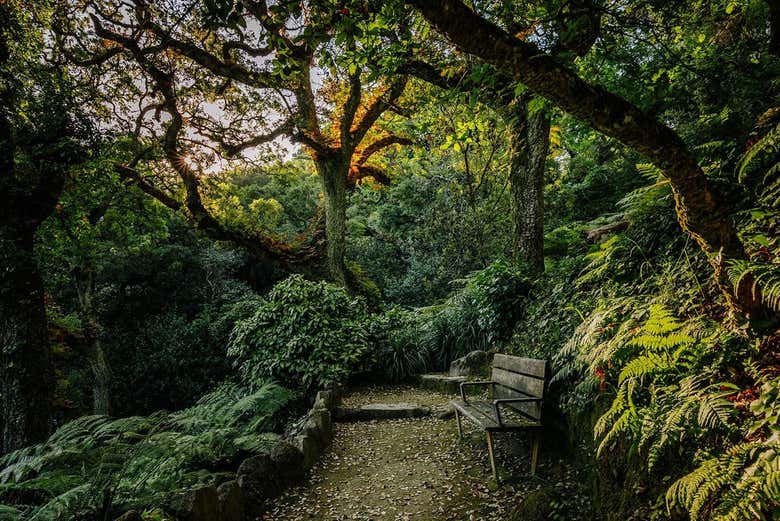 English landscape garden