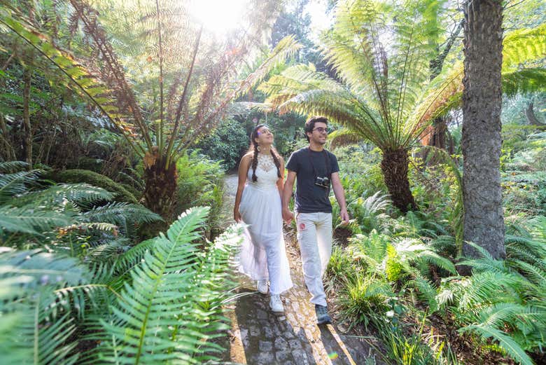 La belleza de los jardines del Palacio da Pena os enamorará