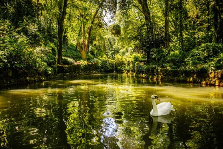 Lago nos jardins