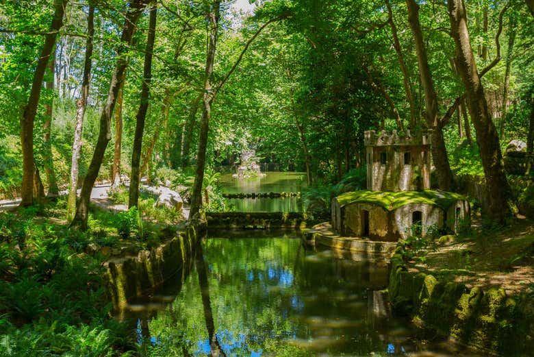 Detalle naturaleza en Sintra