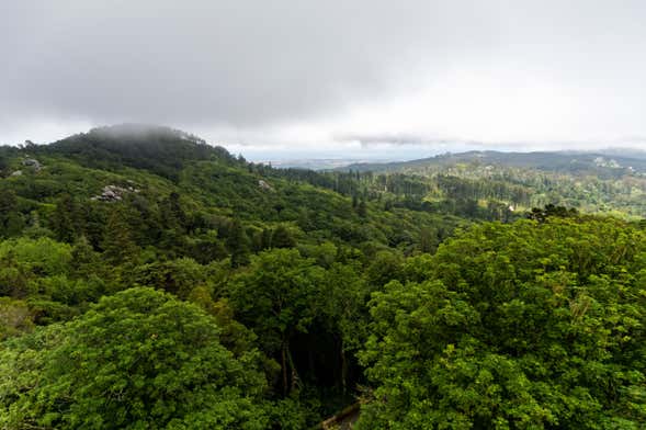 Randonnée au Parc Naturel Sintra-Cascais