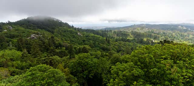 Senderismo por el Parque Natural Sintra-Cascais