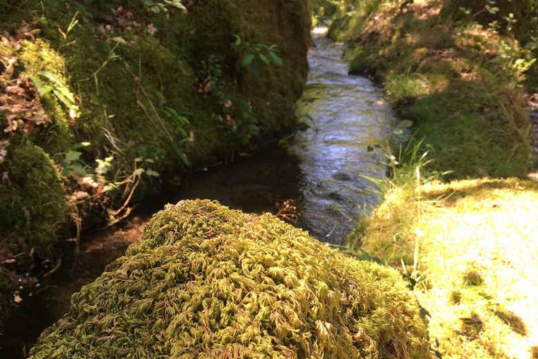 Nature in northern Portugal