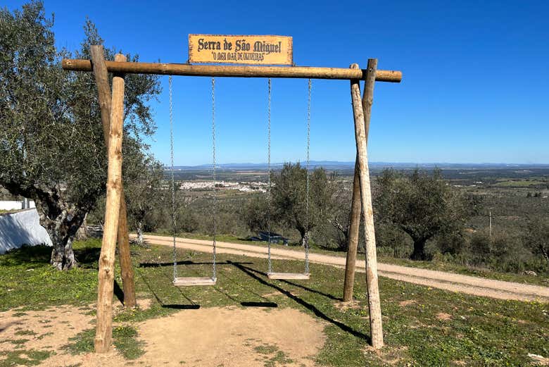 Une balançoire en bois en pleine nature
