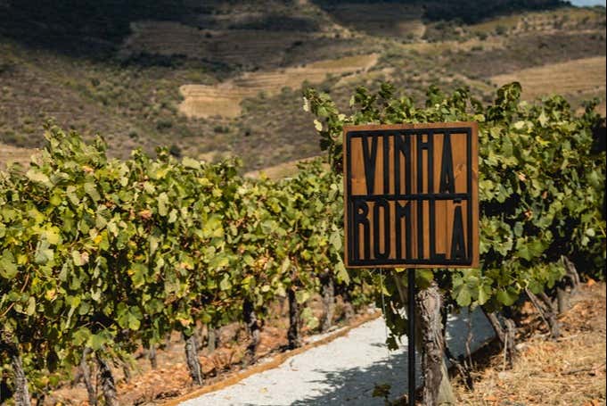 Percorreremos o vinhedo