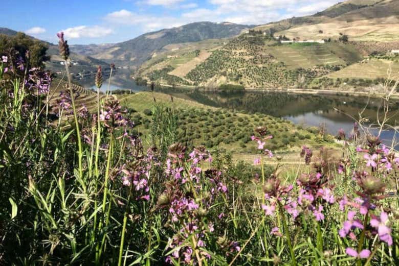 Vue sur le Douro
