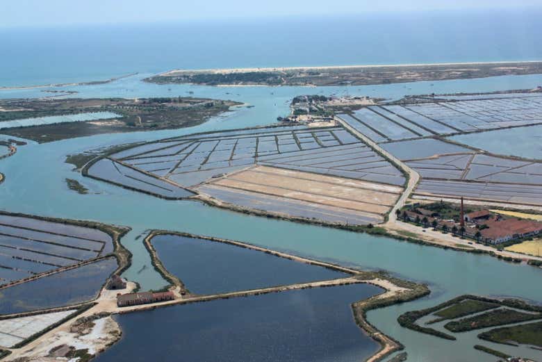 Marais de la Ría Formosa