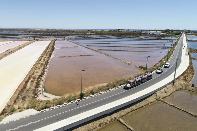 De ruta con el tren turístico