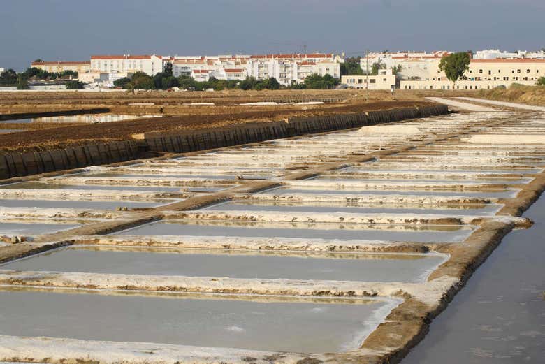 Les salines de Tavira