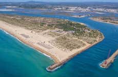Paseo en barco por las islas de la Ría Formosa