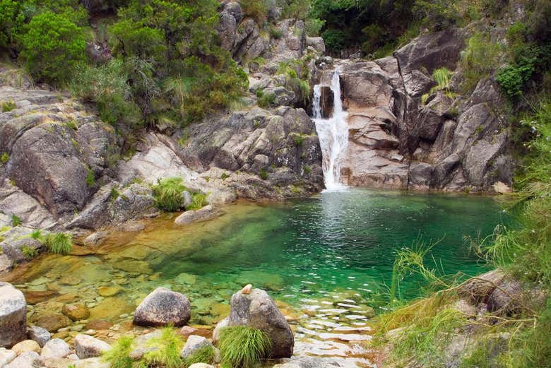 Observez une des cascades du parc