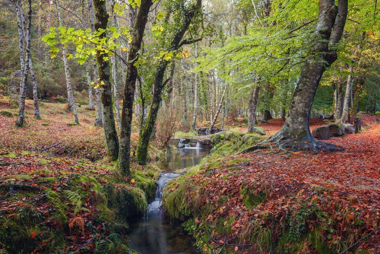Landscapes in Gerês