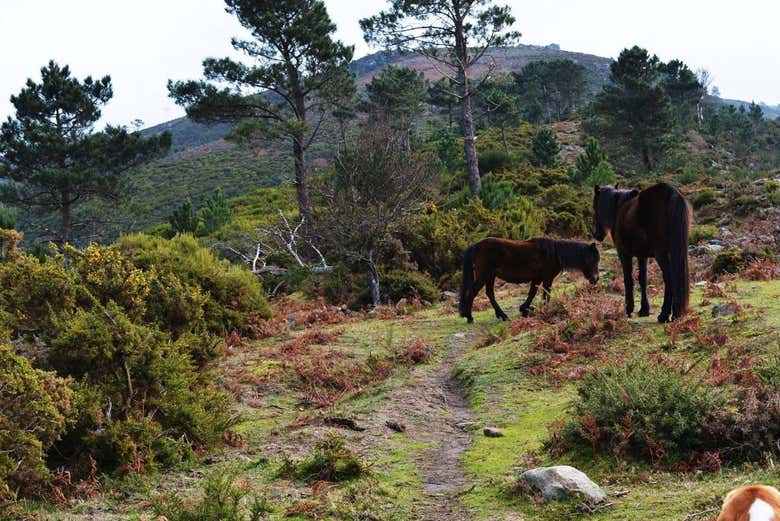 Beautiful landscapes in Northern Portugal