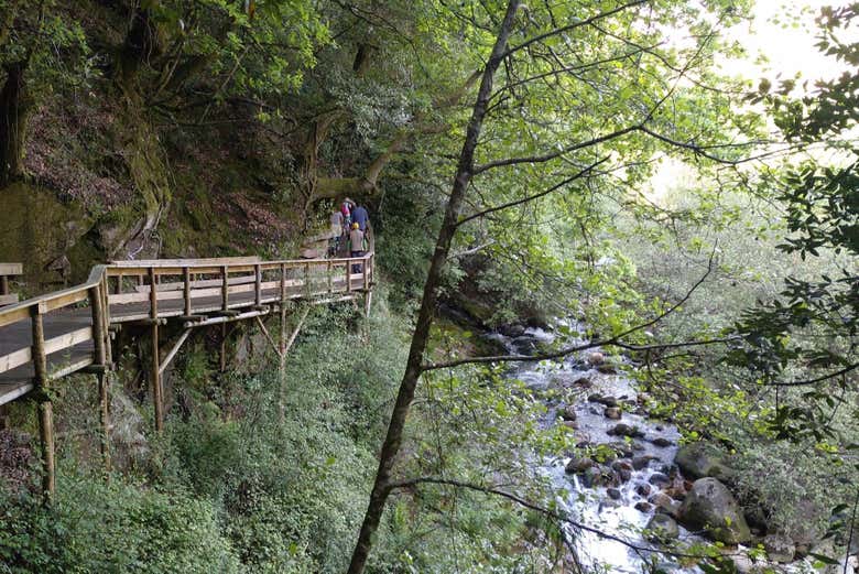 Walkway by the River Vez