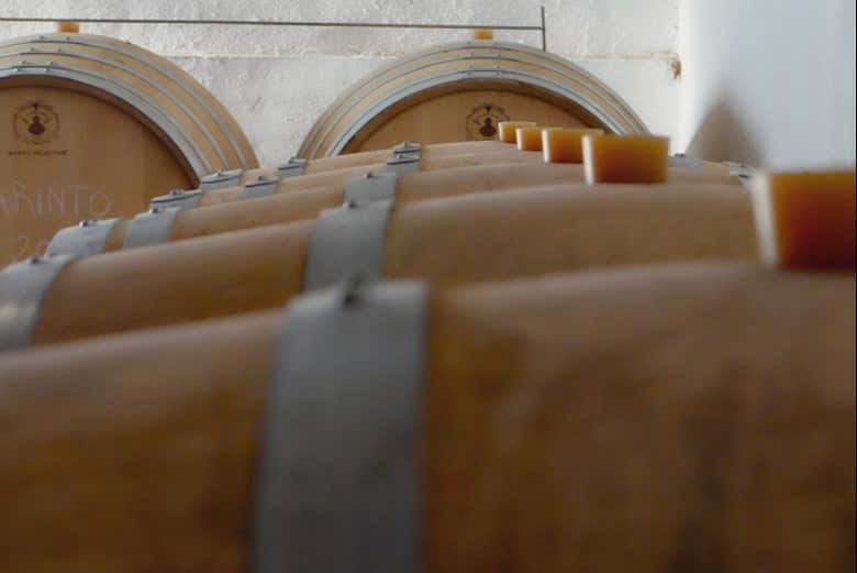 Barrels in the winery