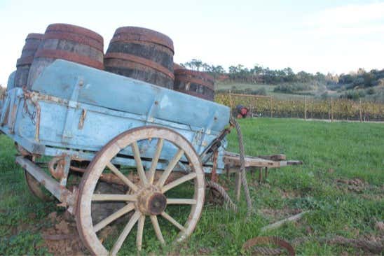Visiting Quinta da Boa Esperança