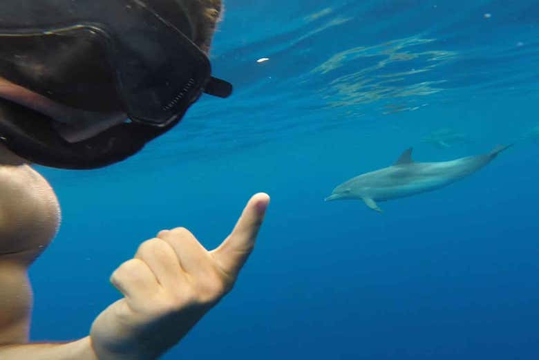 Snorkel in Urzelina
