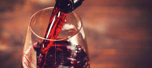 Visita a la bodega Casa das Talhas