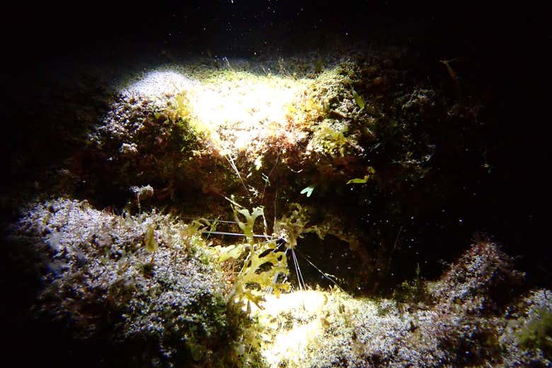 O fundo do mar à noite